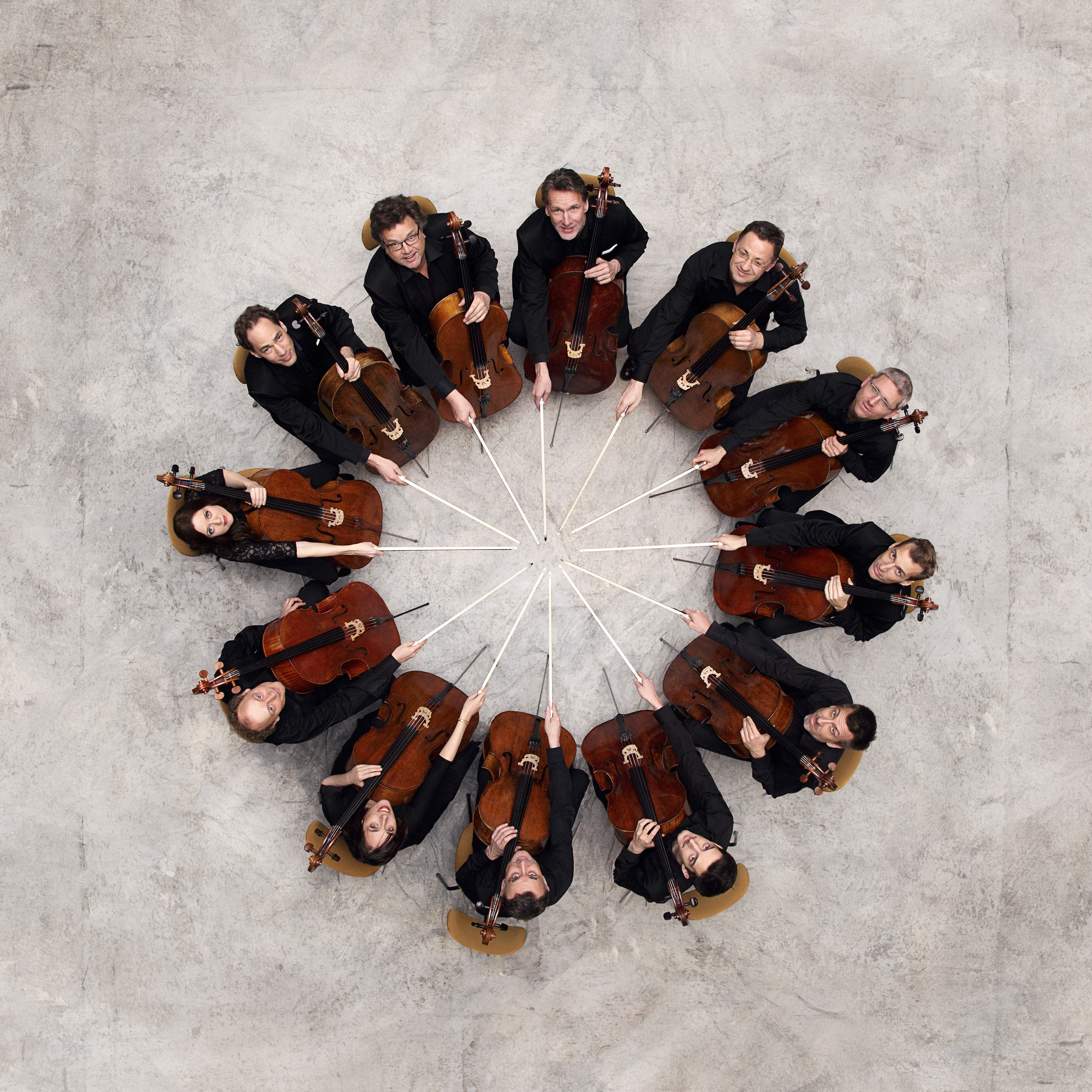 Bild zum Artikel Schirmherren 2018 - Die 12 Cellisten der Berliner Philharmoniker